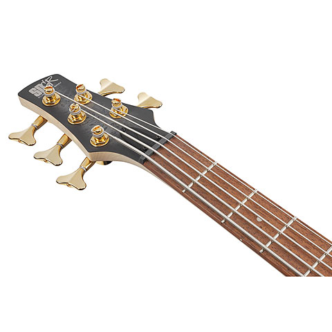 ibanez-sr305edx-bzm_65ce265f3f573.jpg