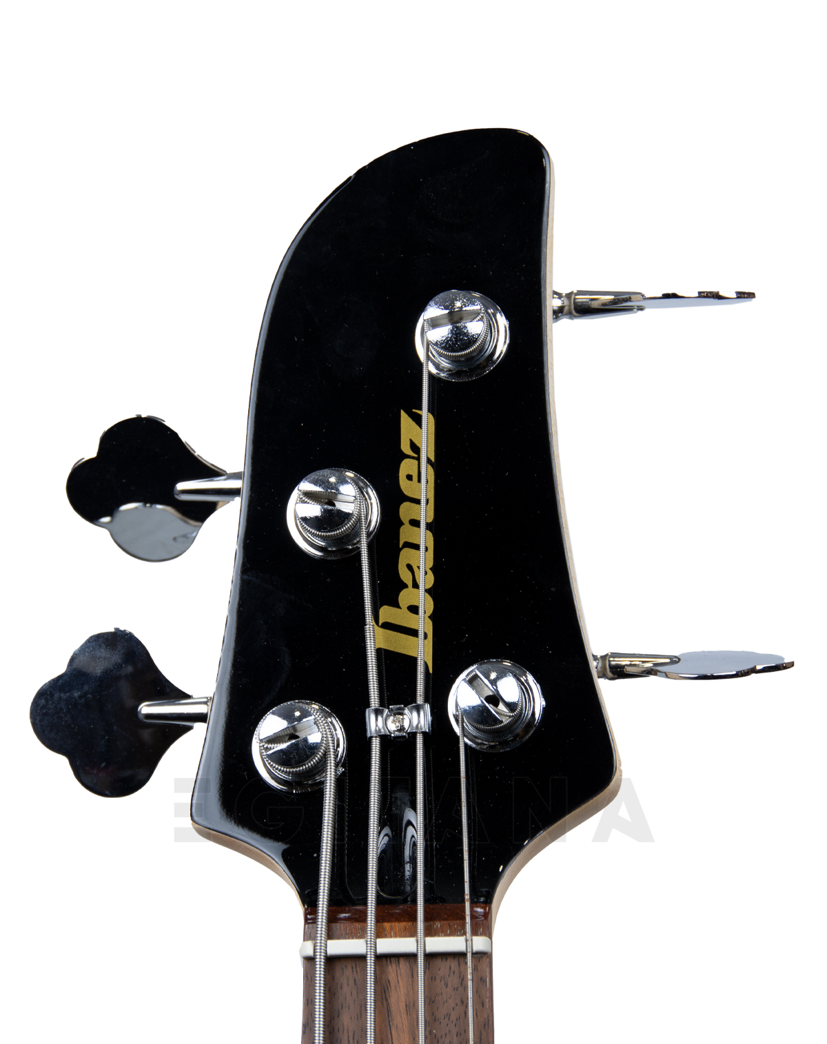 ibanez-tmb100-wnf-talman-bass_5f720a39127f4.jpg