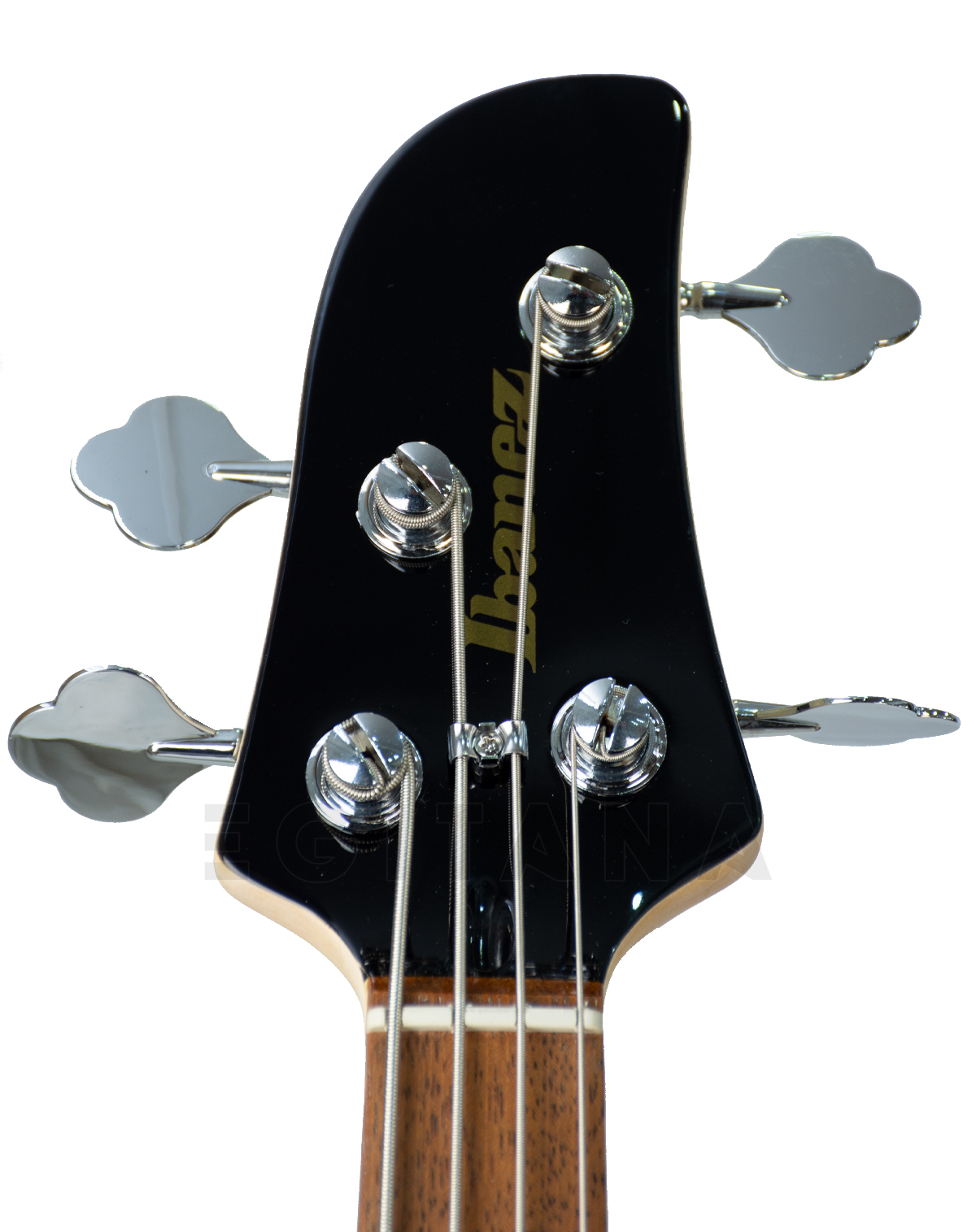 ibanez-tmb30-bk-talman-short-scale_5f0c89c88e5c0.jpg