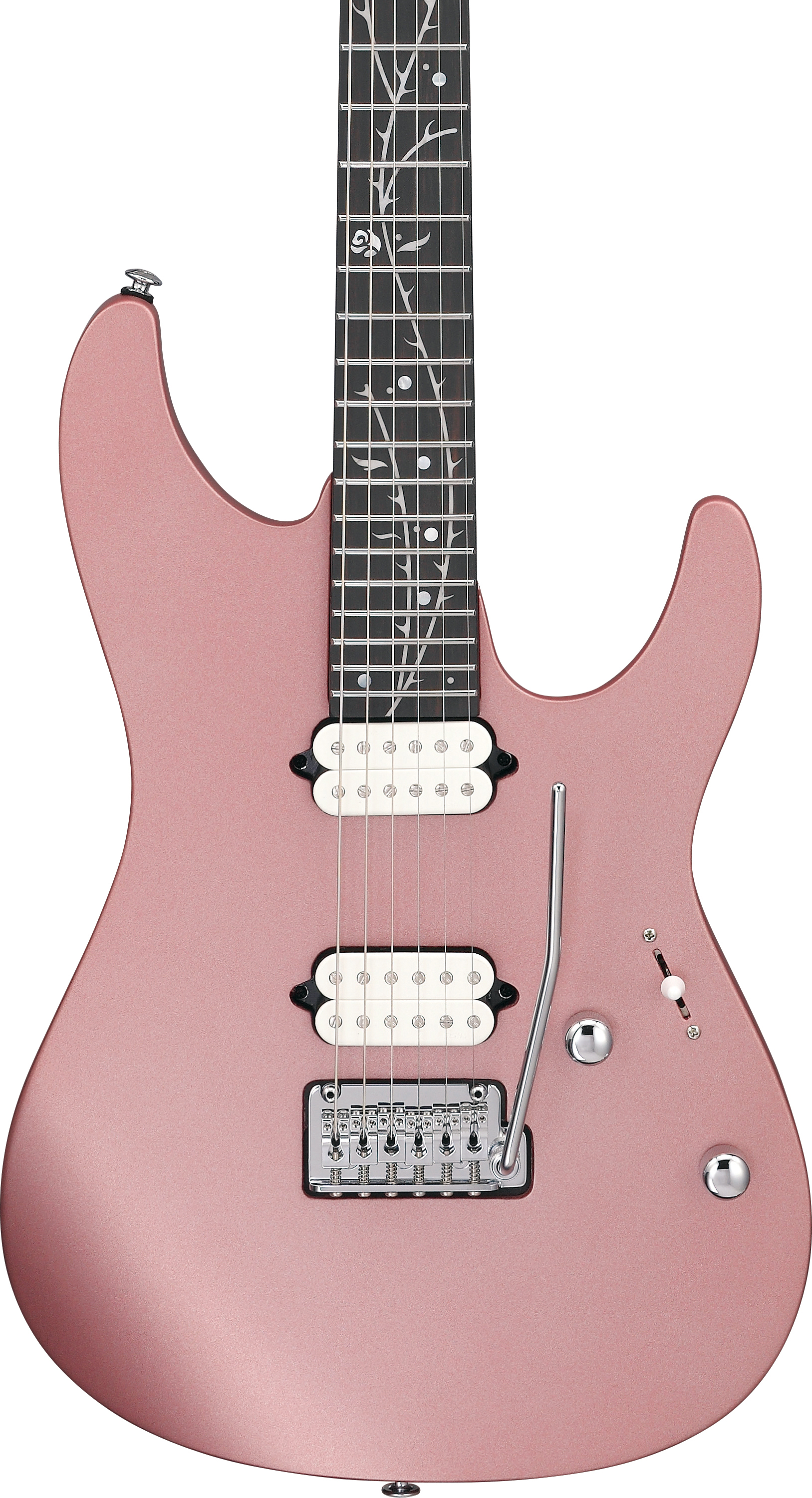 ibanez-tod10-mm-tim-henson_679a3bc70fb40.jpg