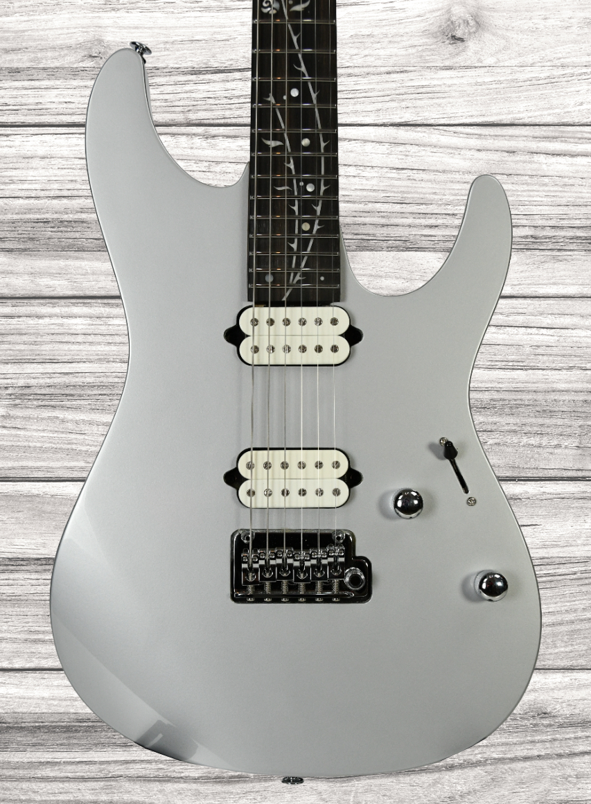 ibanez-tod10-tim-henson-signature-rh-classic-silver-with-bag_65dca9a394159.jpg