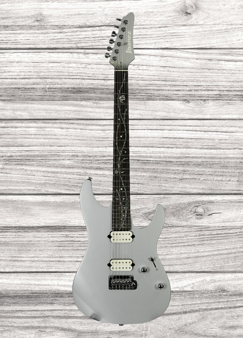 ibanez-tod10-tim-henson-signature-rh-classic-silver-with-bag_65dca9abccd74.jpg