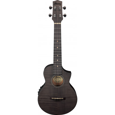 ibanez-uew12e-bif_63d40c5642e50.jpg