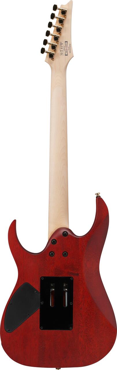 ibanez_691df88d90d8c.jpg