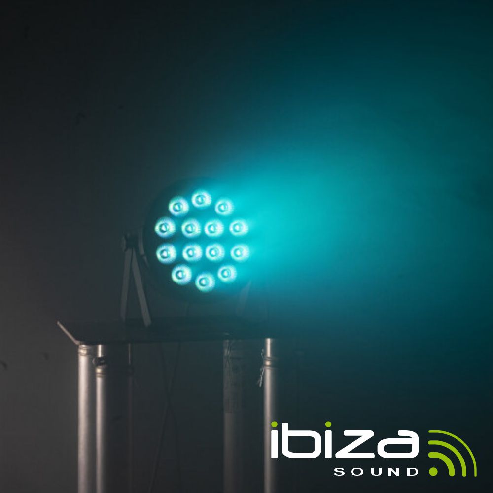 ibiza-projector-par-c-14-leds-6w-rgbw-dmx-thinpar-14x6w-rgbw_624487045a6c1.jpg