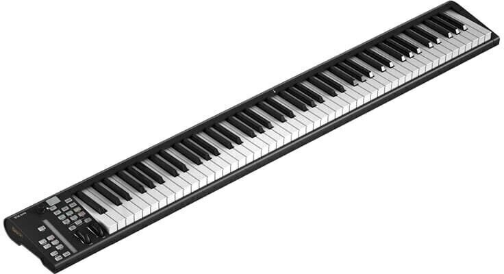 icon-pro-audio-artist-88x_6a2c0a248b6dd.jpg
