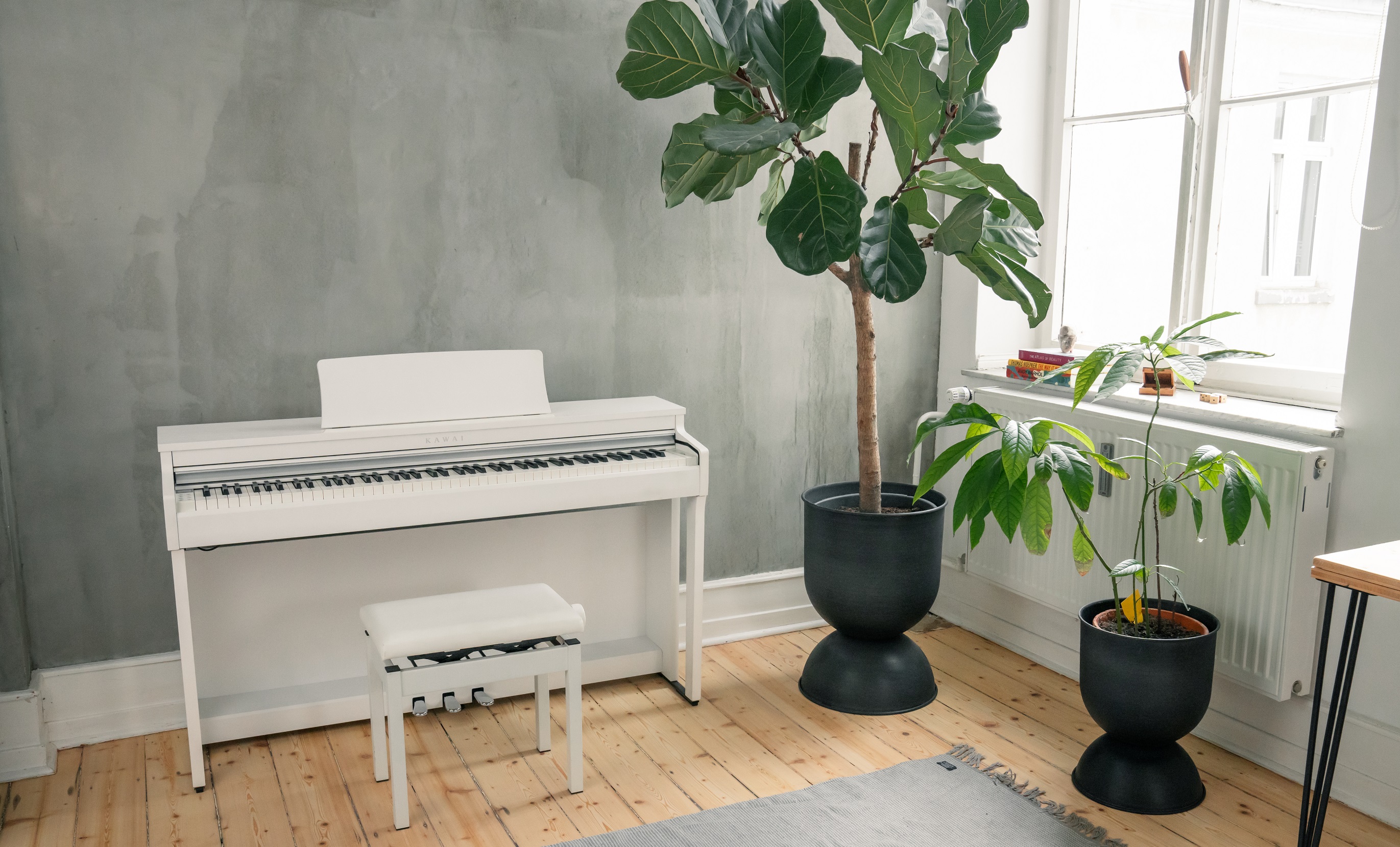 kawai-cn-201-w_6321eff32c059.jpg