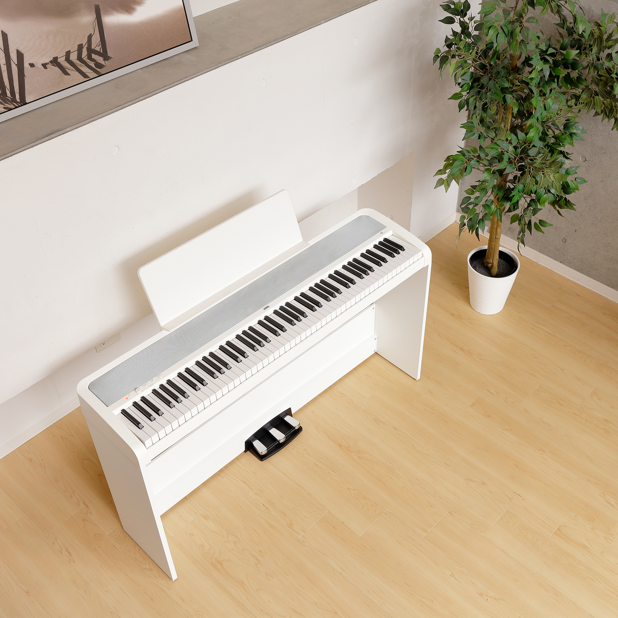 korg-b2-sp-white_6557757e2bed6.jpg