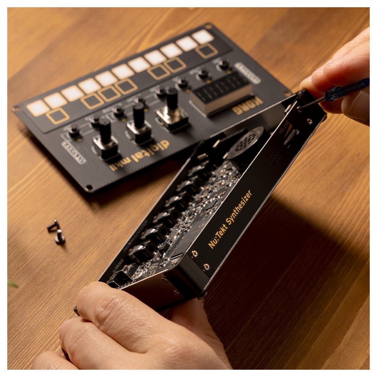 korg-nts-1-digital-mkii_670681a9c3da6.jpg