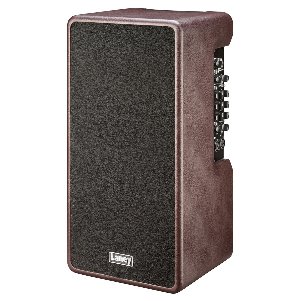 laney-a-duo_60db2cf76fbe7.jpg