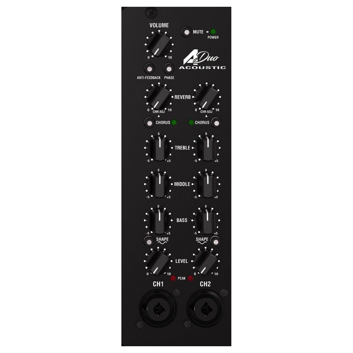 laney-a-duo_60db2cf998f7a.jpg