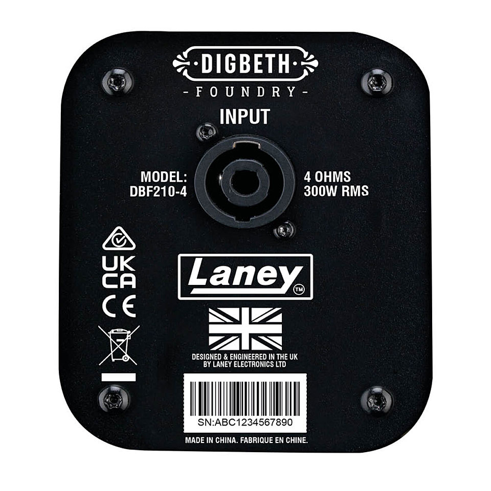 laney-digbeth-dbf210-4_6a2be6503ac48.jpg