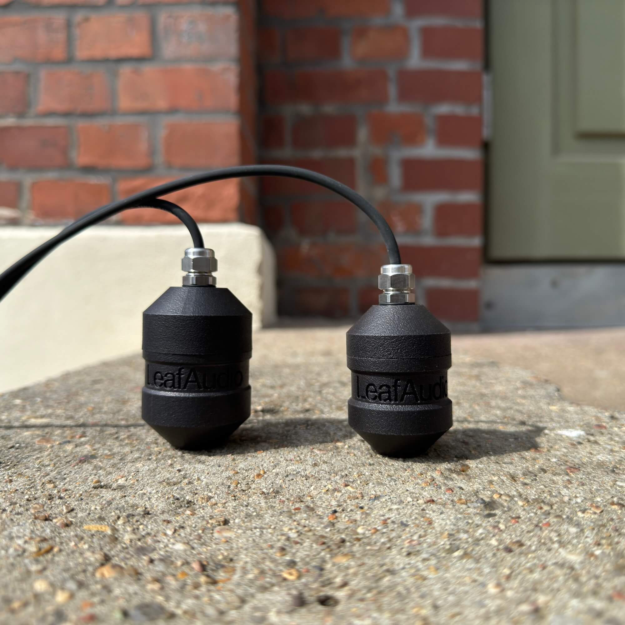 leaf-audio-geophone-s_68fa31407599a.png