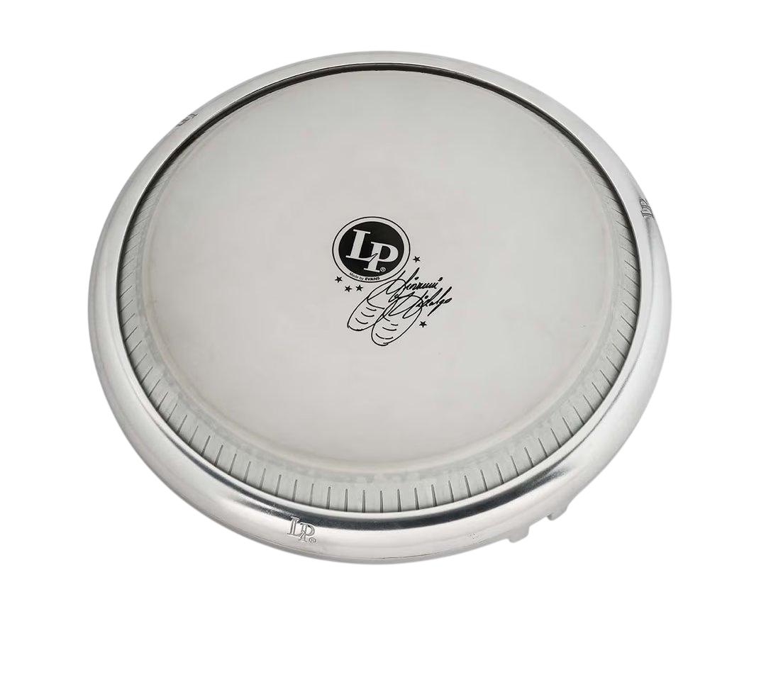 lp-conga-compact-giovanni-11_69a0329276a7e.png