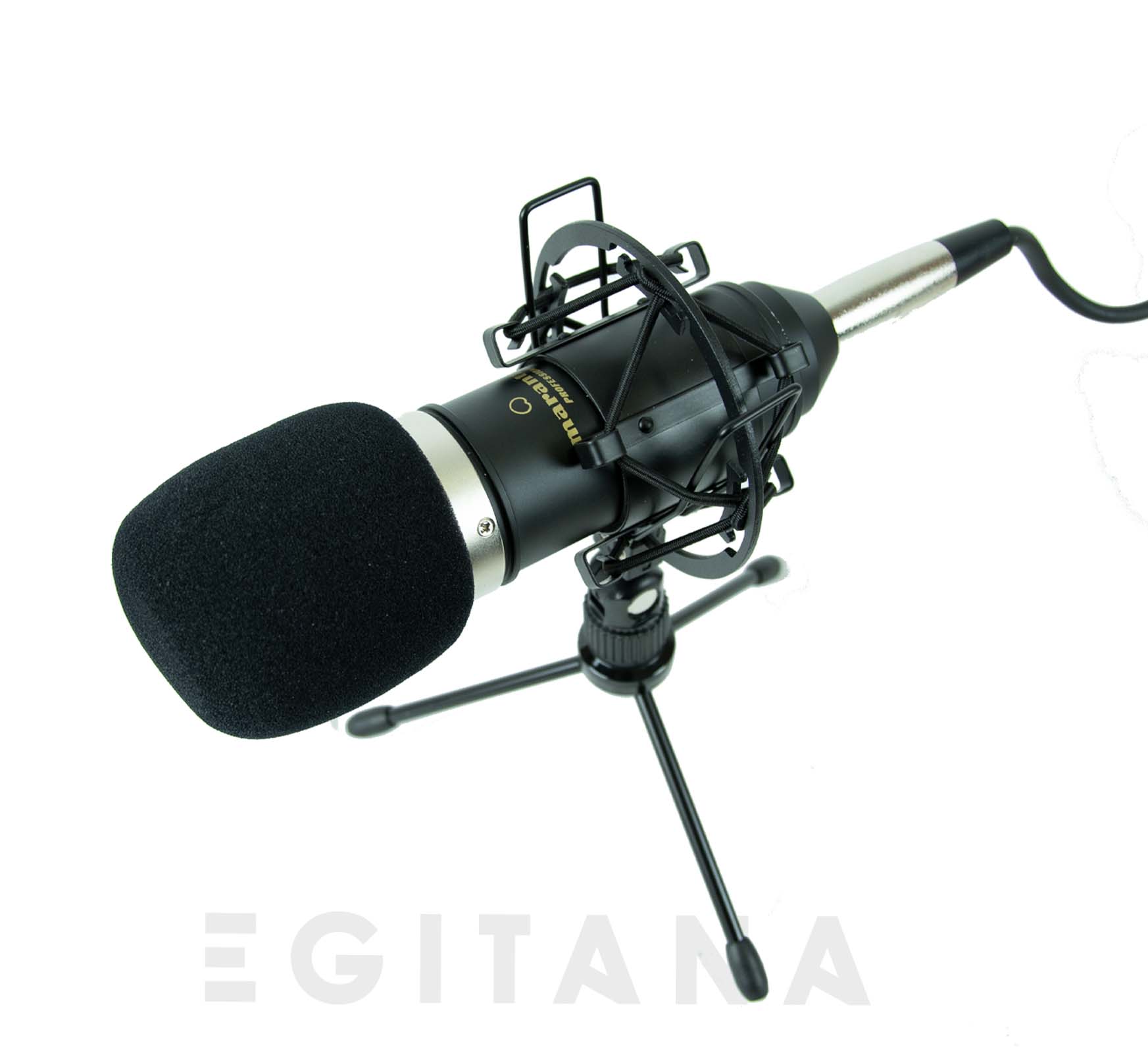 marantz-mpm-1000_613257a926dea.jpg