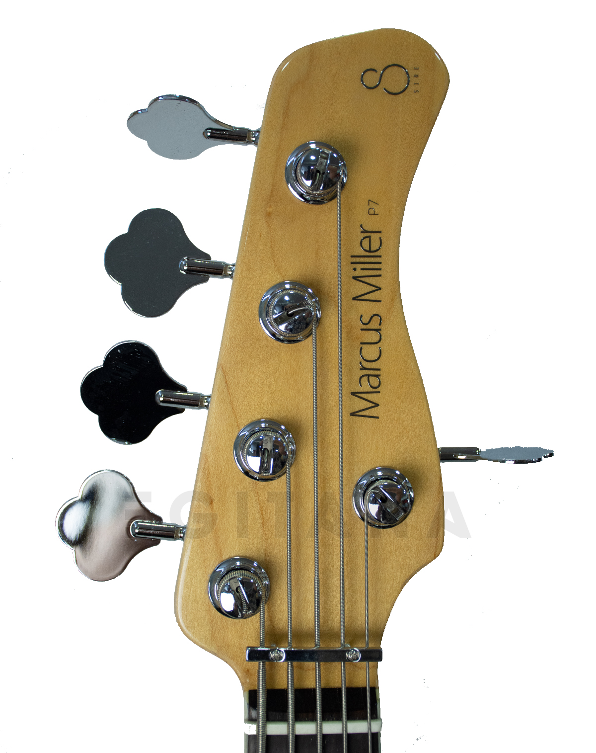 marcus-miller-p7-alder-5-awh-2nd-gen_5f02fdd0b8197.jpg