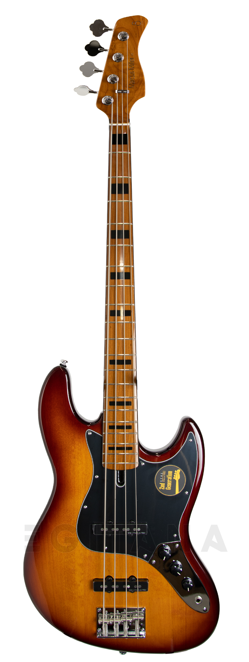 marcus-miller-v5-alder-4-ts_6026a9acbb0c2.jpg