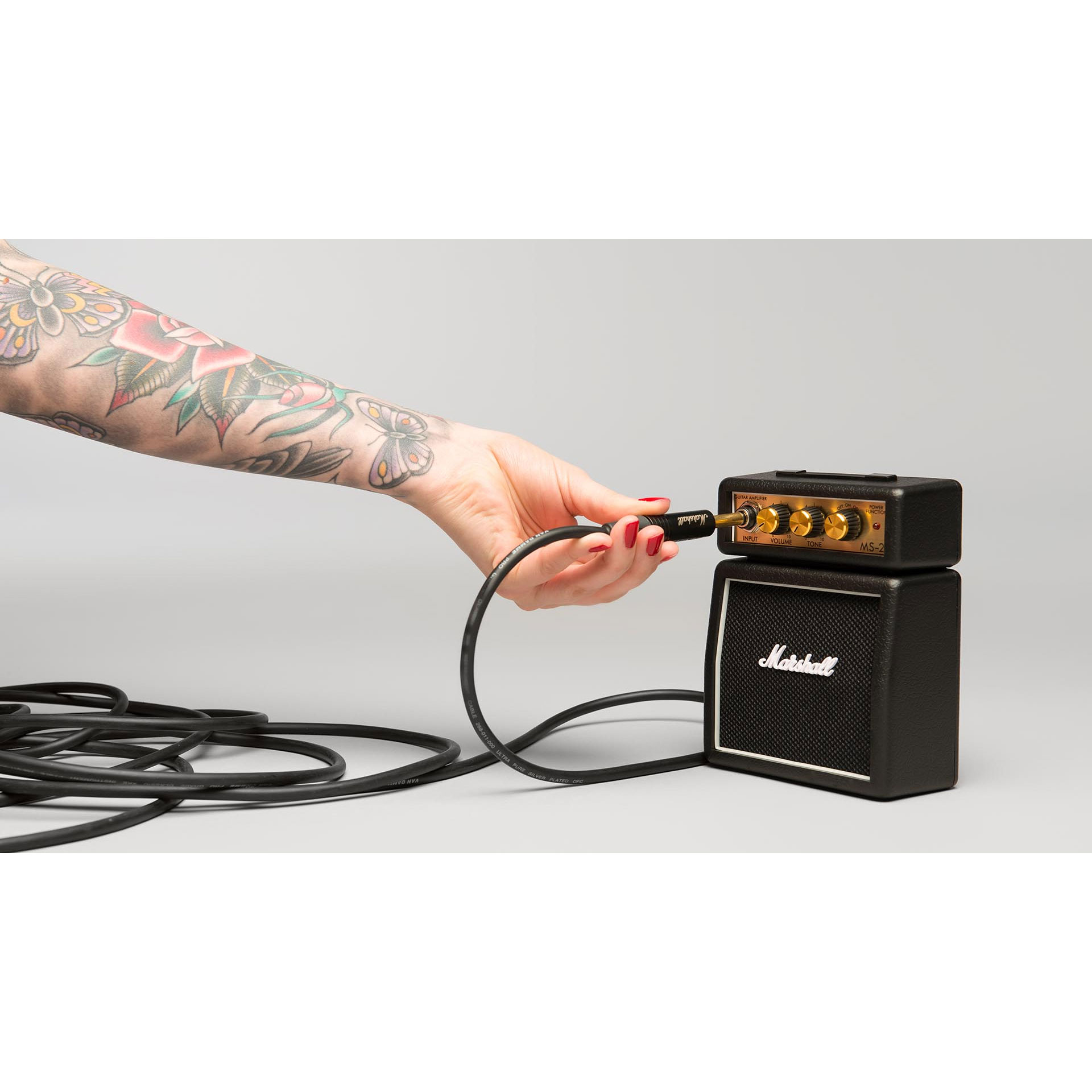 marshall-ms-2_5924433795d5b.jpg