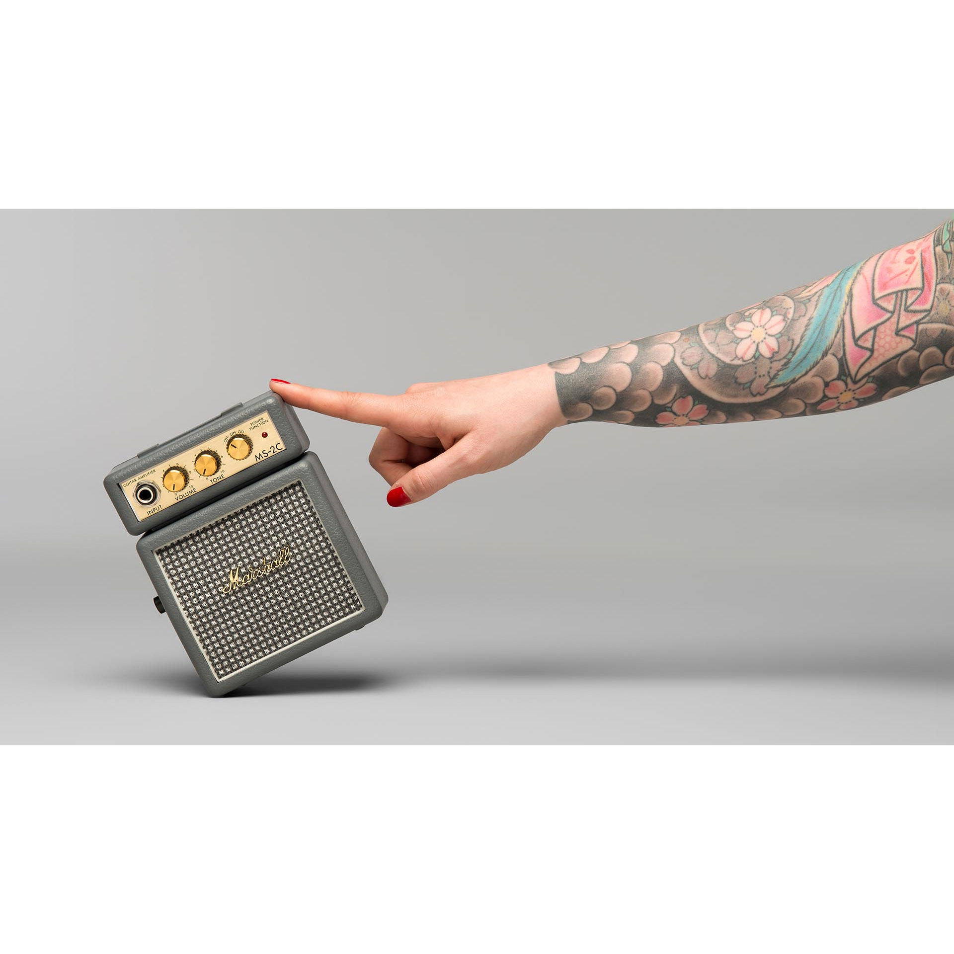 marshall-ms-2c_592442a99b1f7.jpg