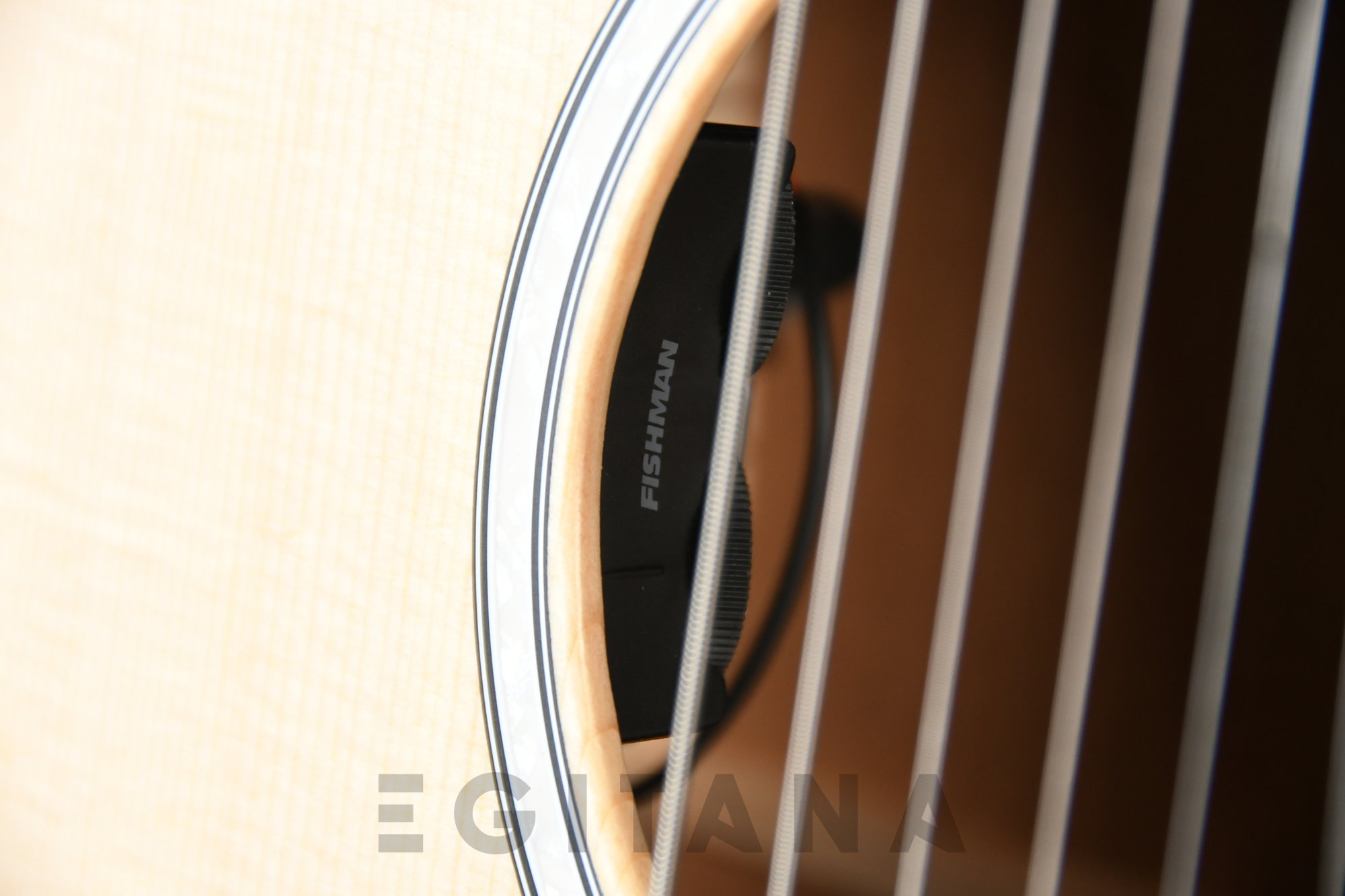 martin-dreadnought-10-a-e-junior-abeto-sitka-sapele_63b6d5770c98f.jpg