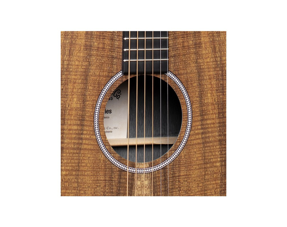 martin-dx1e-koa-koa_62d12163a0d81.jpg