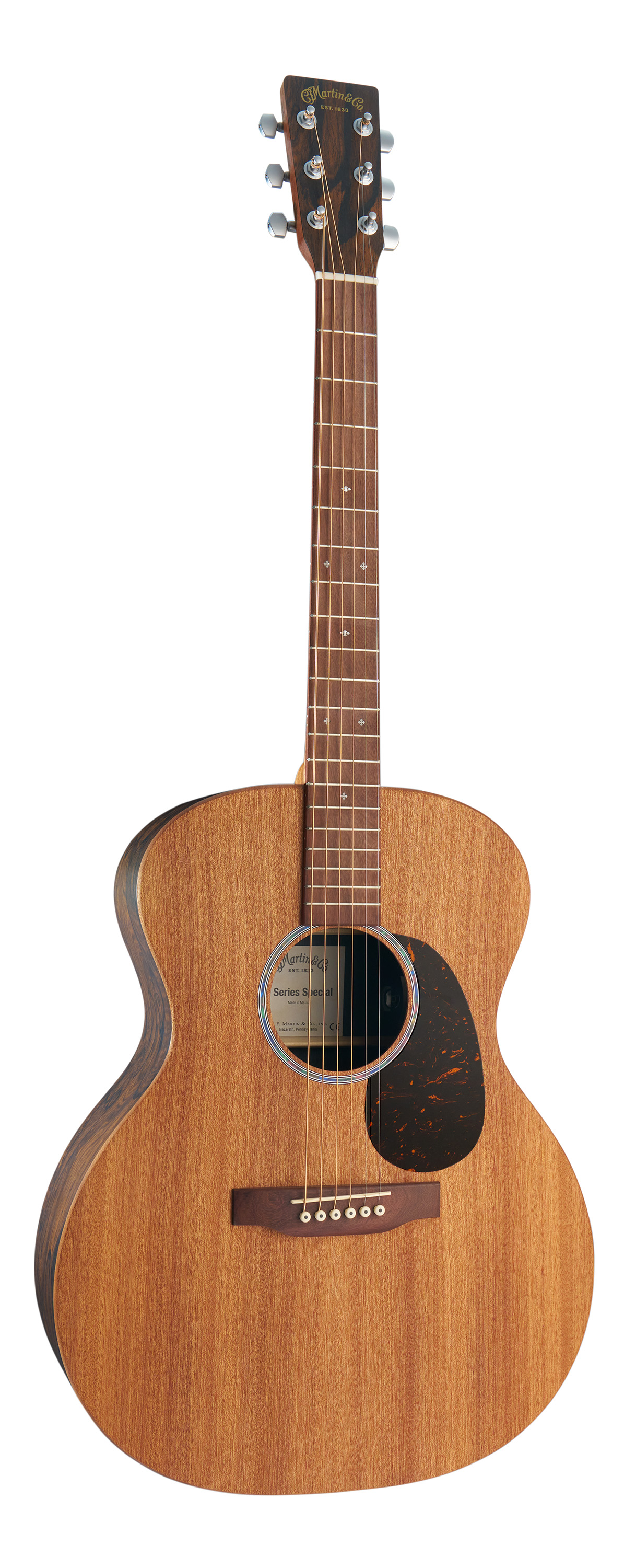 martin-gp-x2e-ziricote_6908ca36d5677.jpg
