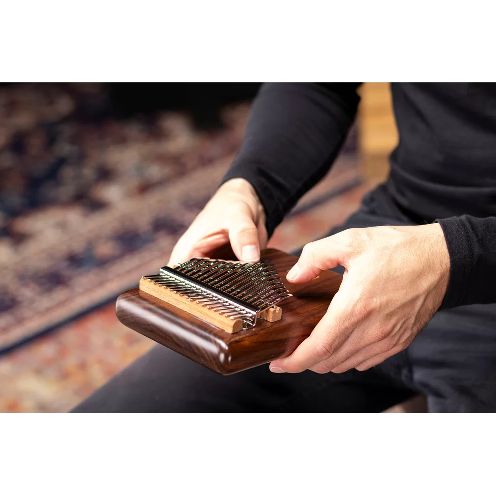 meinl-solid-pickup-kalimba_69a16e694ec3d.jpg