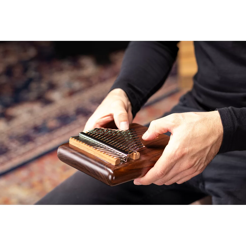 meinl-solid-pickup-kalimba_69a16e694ec3d.png