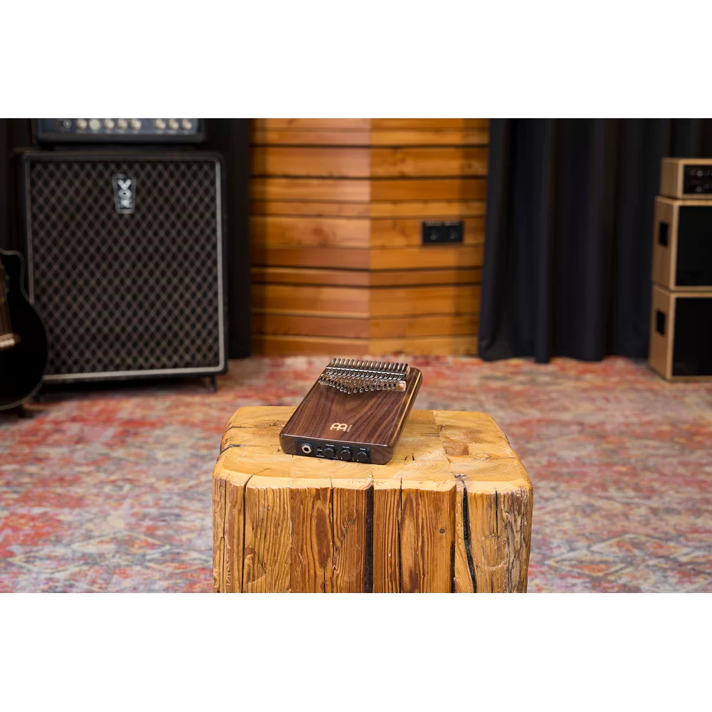 meinl-solid-pickup-kalimba_69a16e70d226a.png