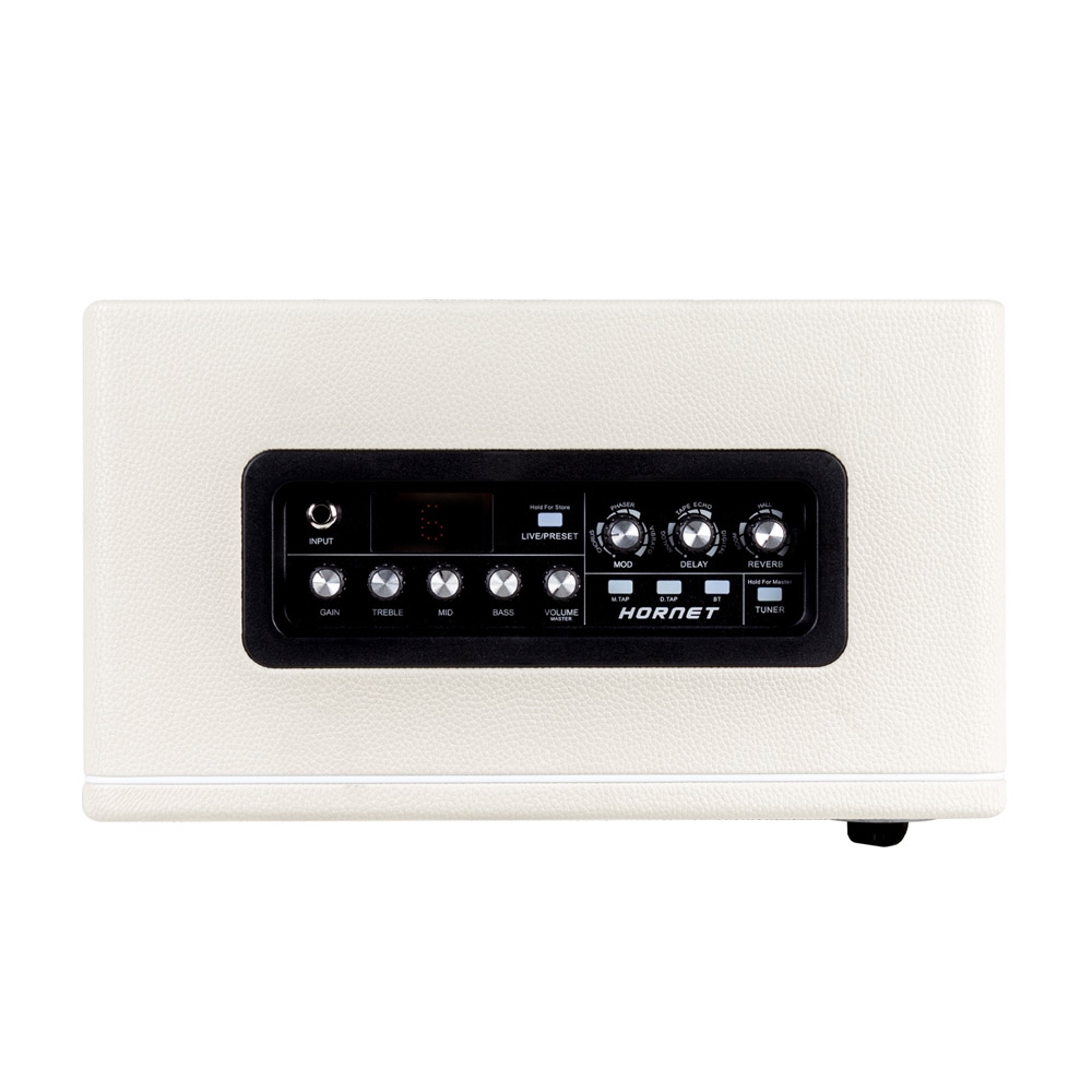mooer-hornet-30-white_628654122c962.jpg