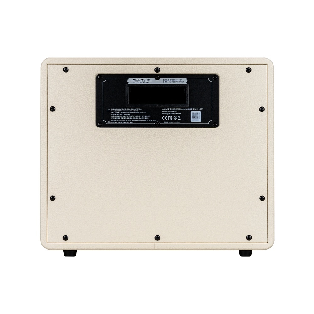 mooer-hornet-30i-modeling-amp-white_64f9827879683.jpg