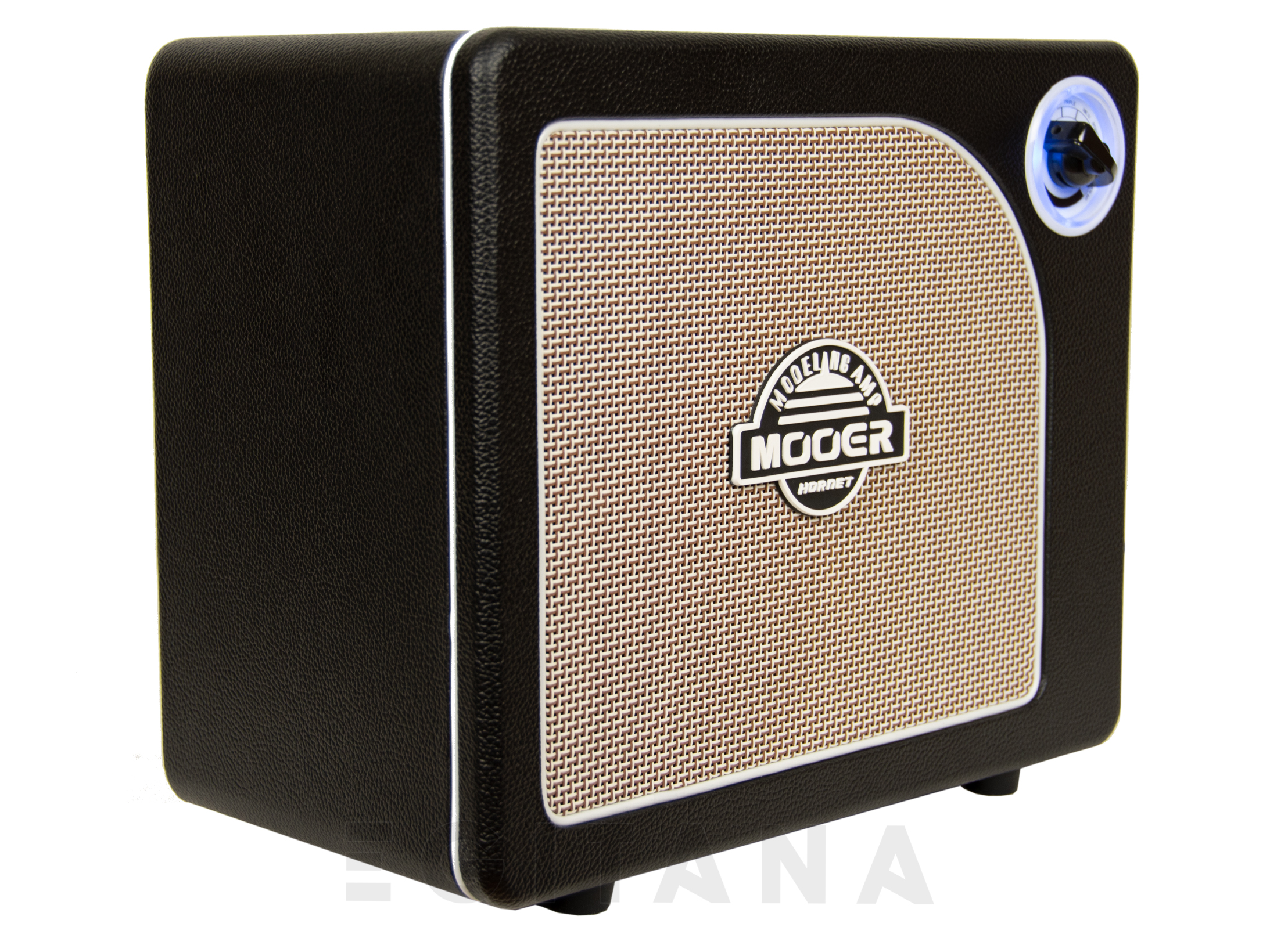 mooer-hornet-modelling-combo_6086d80b0b699.jpg