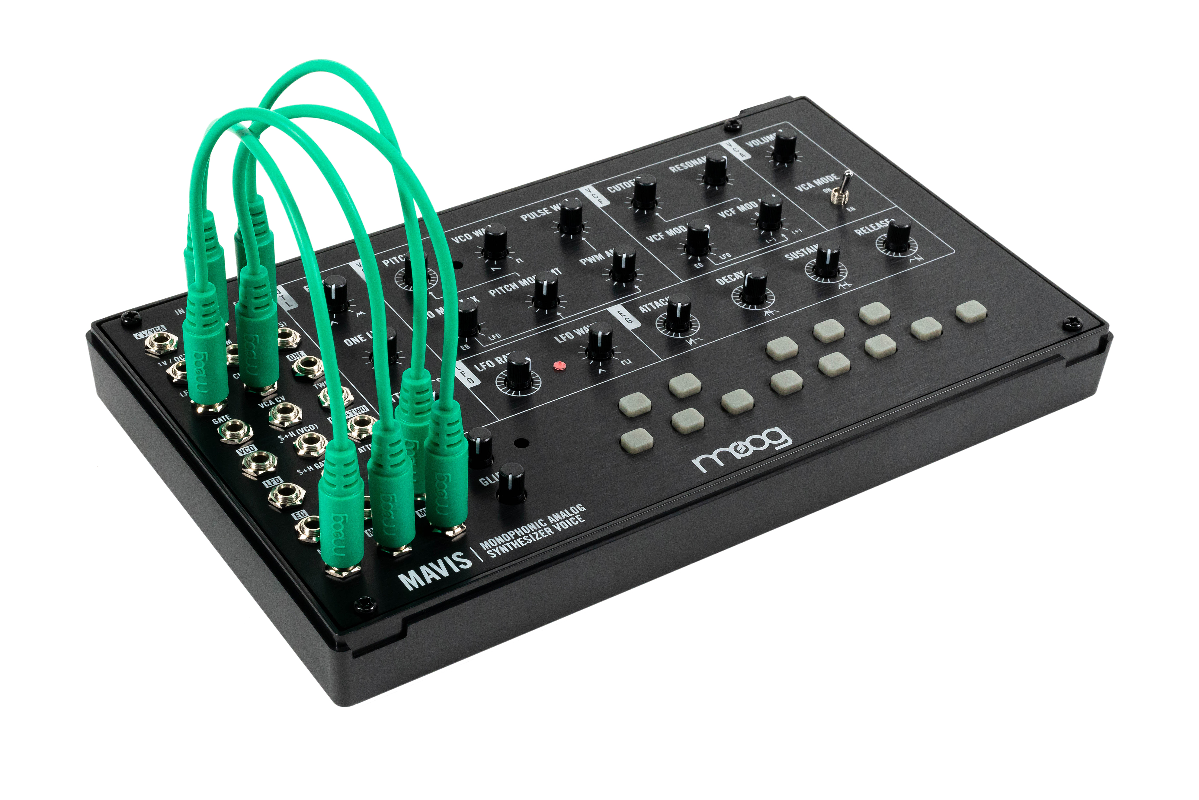 moog-mavis_662642963a90c.jpg