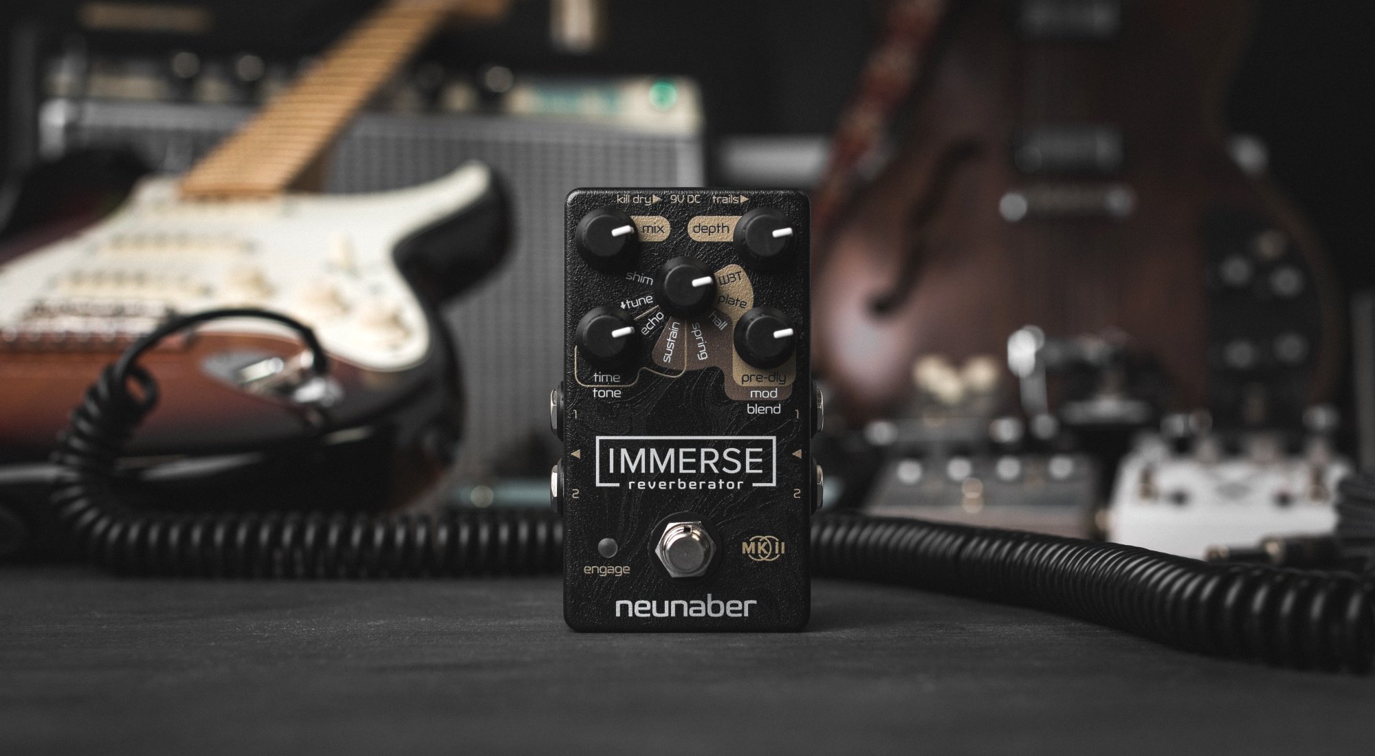 neunaber-immerse-reverberator-mk-ii_5f313542bf9f5.jpg