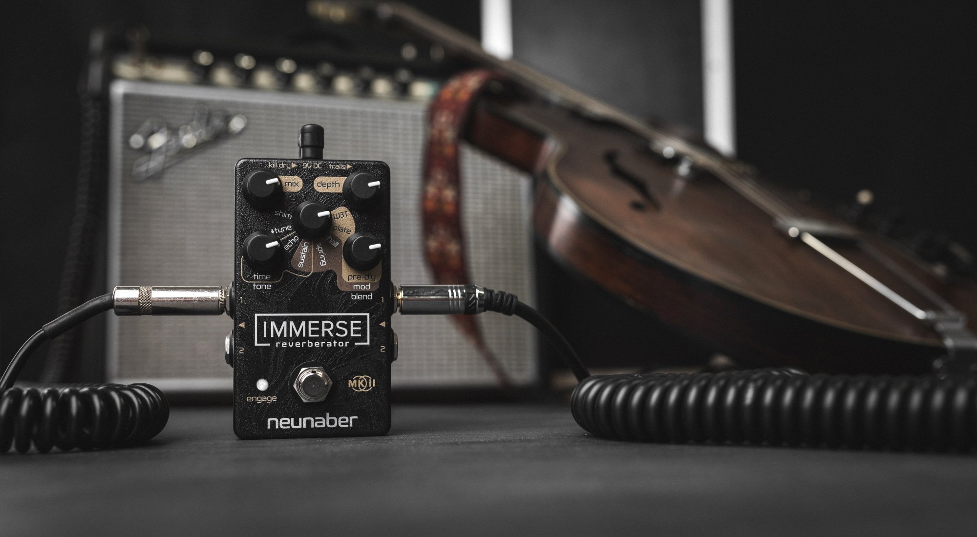 neunaber-immerse-reverberator-mk-ii_5f3135439a17c.jpg